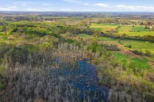 2013 Seclusion Trail, Monroe, GA 30656 - Photo 62