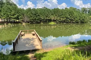 201 Providence Ln, Canton, GA 30114 - Photo 46