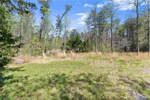 290 Chastain Rd, Sautee Nacoochee, GA 30571 - Photo 60