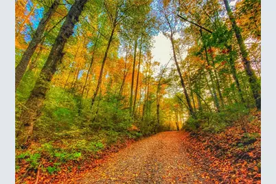 500 Big Sky Trail, Dahlonega, GA 30533 - Photo 46