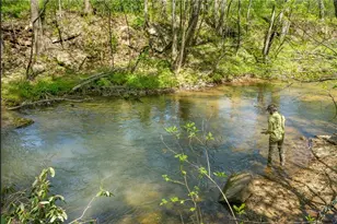500 Big Sky Trl, Dahlonega, GA 30533 - Photo 42