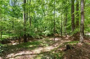8580 High Hampton Chase, Alpharetta, GA 30022 - Photo 52