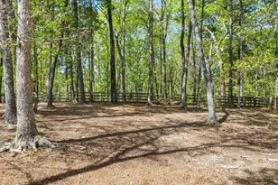 302 Cv Lk Dr, Marble Hill, GA 30148 - Photo 46