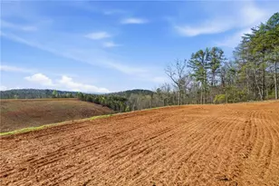 1927 Leeches Rd, Ellijay, GA 30540 - Photo 12