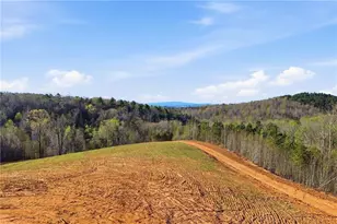 1927 Leeches Rd, Ellijay, GA 30540 - Photo 10