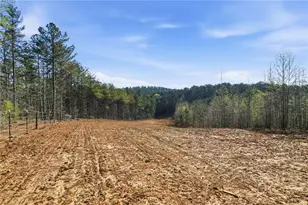 1927 Leeches Rd, Ellijay, GA 30540 - Photo 14