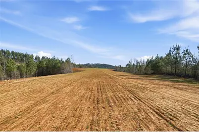 1927 Leeches Road, Ellijay, GA 30540 - Photo 10