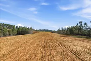 1927 Leeches Rd, Ellijay, GA 30540 - Photo 10