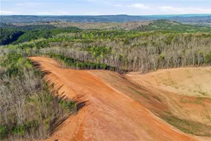 1927 Leeches Rd, Ellijay, GA 30540 - Photo 22
