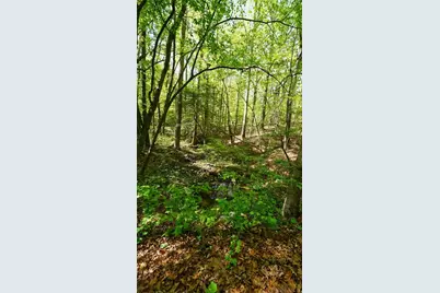 301 Clayton Trail, Canton, GA 30114 - Photo 72
