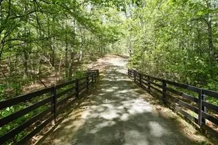 301 Clayton Trail, Canton, GA 30114 - Photo 86