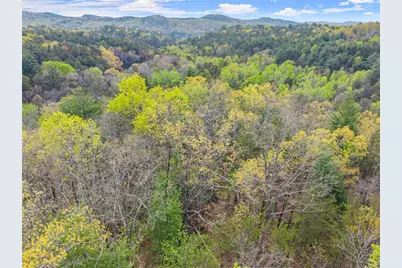 0 S Fern Cove Road, Sautee Nacoochee, GA 30571 - Photo 20