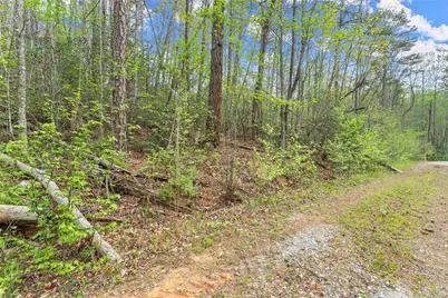 0 S Fern Cove Road, Sautee Nacoochee, GA 30571 - Photo 26