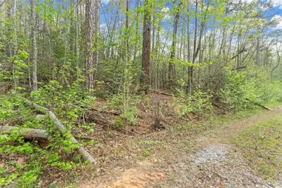 0 S Fern Cove Road, Sautee Nacoochee, GA 30571 - Photo 24