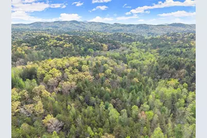 0 S Fern Cove Road, Sautee Nacoochee, GA 30571 - Photo 8