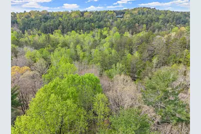 0 S Fern Cove Road, Sautee Nacoochee, GA 30571 - Photo 22