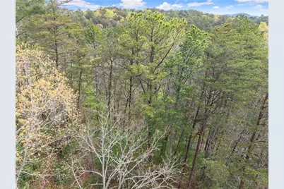 0 S Fern Cove Road, Sautee Nacoochee, GA 30571 - Photo 14