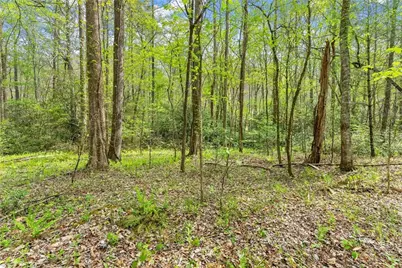 0 S Fern Cove Road, Sautee Nacoochee, GA 30571 - Photo 32