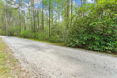 0 S Fern Cove Road, Sautee Nacoochee, GA 30571 - Photo 30