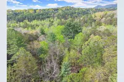 0 S Fern Cove Road, Sautee Nacoochee, GA 30571 - Photo 16