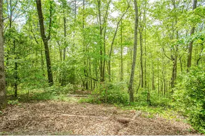 259 Long Branch Road, Dahlonega, GA 30533 - Photo 10