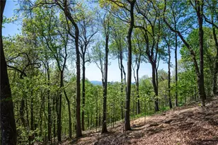 1339 Ridgeview Dr, Big Canoe, GA 30143 - Photo 26