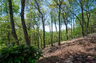 1339 Ridgeview Dr, Big Canoe, GA 30143 - Photo 24