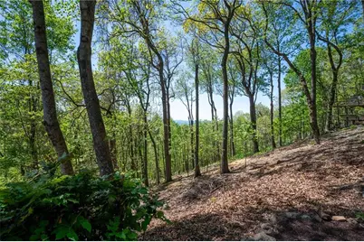 1339 Ridgeview Drive, Big Canoe, GA 30143 - Photo 22