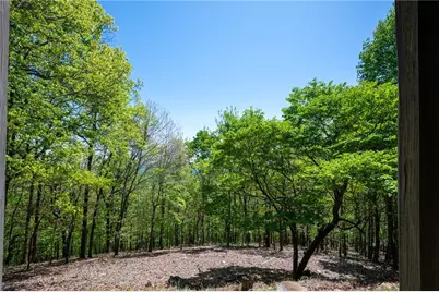 1339 Ridgeview Drive, Big Canoe, GA 30143 - Photo 26