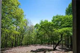 1339 Ridgeview Dr, Big Canoe, GA 30143 - Photo 26