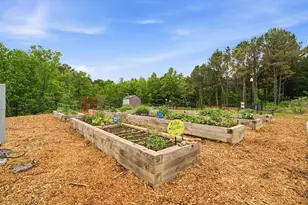 167 Mountain Blvd, Jasper, GA 30143 - Photo 34