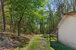 7433 Nicklesville Rd NE, Ranger, GA 30734 - Photo 28