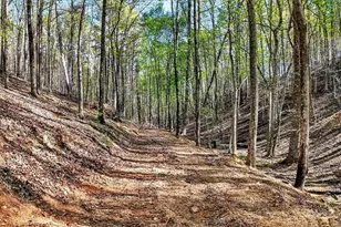 7433 Nicklesville Rd NE, Ranger, GA 30734 - Photo 44