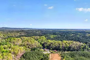 7433 Nicklesville Rd NE, Ranger, GA 30734 - Photo 50