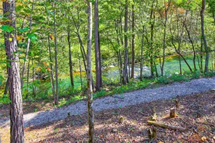 380 Biguns Blvd, Talking Rock, GA 30175 - Photo 56