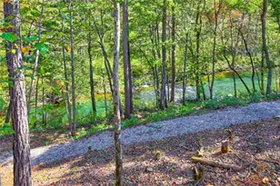 380 Biguns Blvd, Talking Rock, GA 30175 - Photo 56