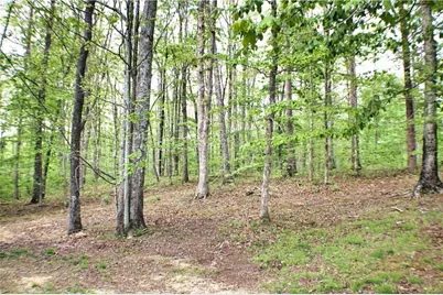 124 S Stewart Lane, Rising Fawn, GA 30738 - Photo 90