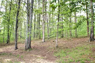 124 S Stewart Ln, Rising Fawn, GA 30738 - Photo 90