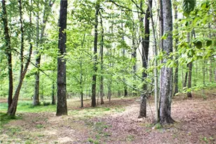 124 S Stewart Ln, Rising Fawn, GA 30738 - Photo 90