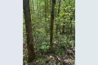 348 Hemlock Trail, Ellijay, GA 30540 - Photo 14