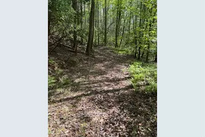348 Hemlock Trail, Ellijay, GA 30540 - Photo 6