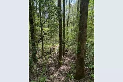 348 Hemlock Trail, Ellijay, GA 30540 - Photo 22