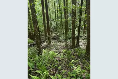 348 Hemlock Trail, Ellijay, GA 30540 - Photo 28