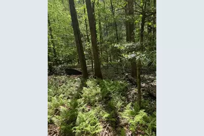 348 Hemlock Trail, Ellijay, GA 30540 - Photo 8
