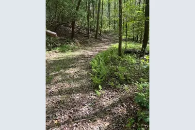 348 Hemlock Trail, Ellijay, GA 30540 - Photo 2