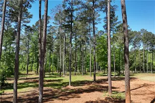 270 Indian Creek Rd, Good Hope, GA 30641 - Photo 54