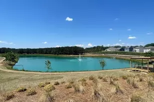 103 Blossom Ln Circle, Calhoun, GA 30153 - Photo 24