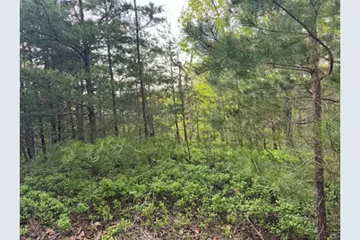 1181 Jewel Court NE, Ranger, GA 30734 - Photo 8
