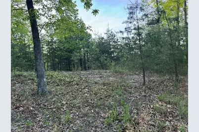 1181 Jewel Court NE, Ranger, GA 30734 - Photo 4