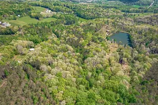 2308 Rackley Rd, Ellijay, GA 30536 - Photo 6